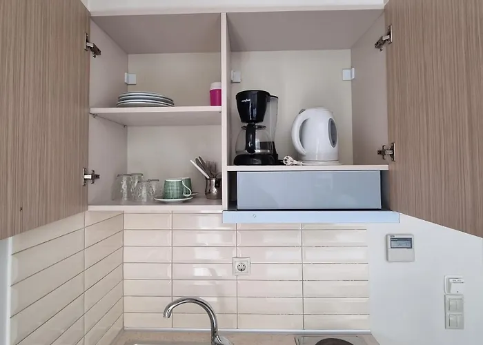 公寓 Sissy's Boutique Paralía