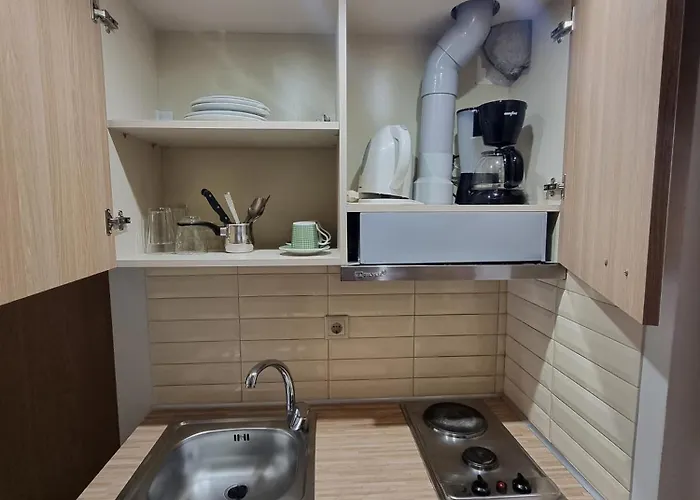 Sissy's Boutique 公寓 Paralía